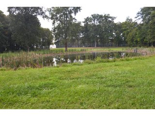 Pond in Dekalb County, Indiana - MAJOR LAND AUCTION - 516+/- ACRES OFFERED IN 18 TRACTS OR COMBINATIONS IN DEKALB COUNTY, INDIANA